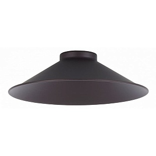 Плафон CITILUX ЭДИСОН CL450.11